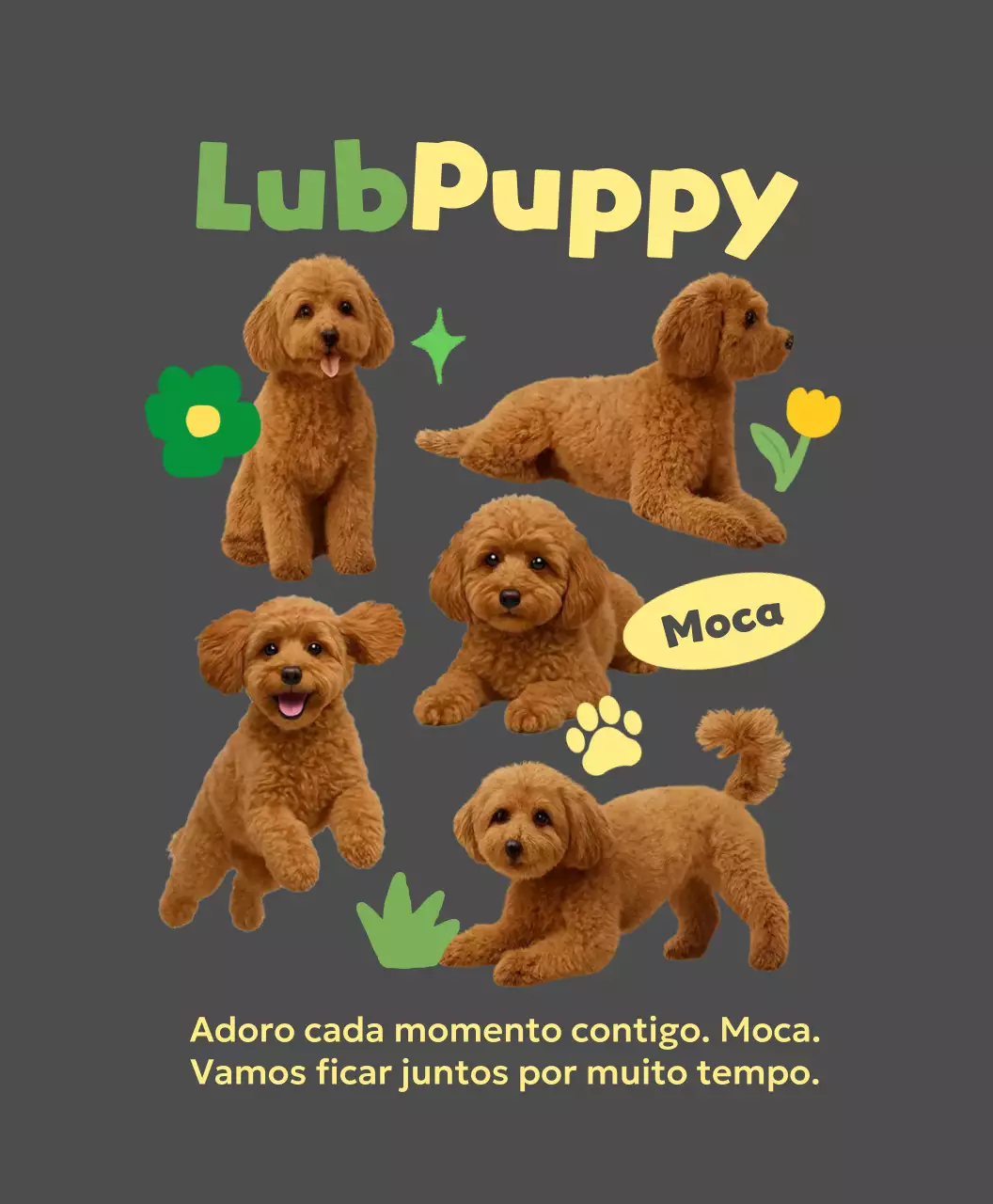 Moldura para fotos de animais de estimação cinza