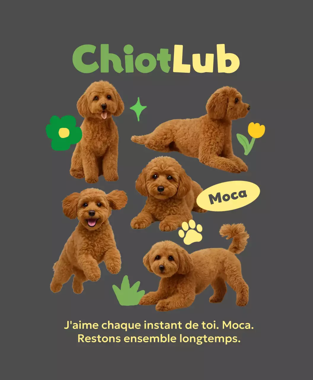 Cadre photo gris pour bébé animal de compagnie