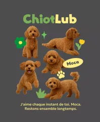 Cadre photo gris pour bébé animal de compagnie