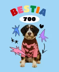 Prodotti per animali domestici Sky Blue Pop