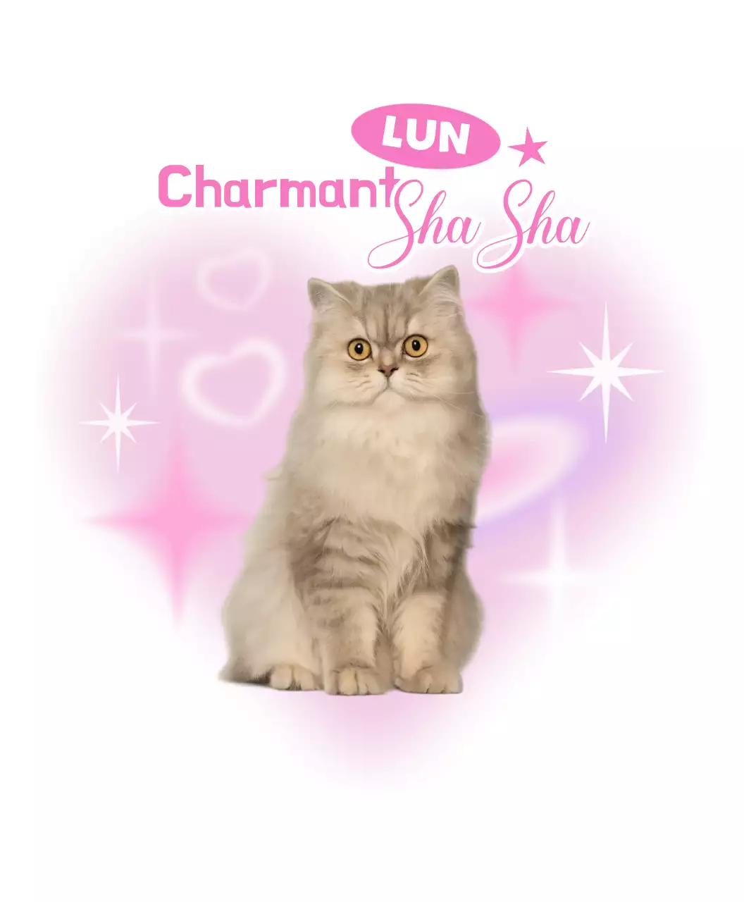 Autocollants roses mignons pour animaux de compagnie