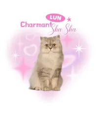 Autocollants roses mignons pour animaux de compagnie