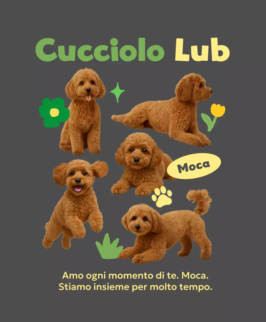 Cornice portafoto grigia per animali domestici