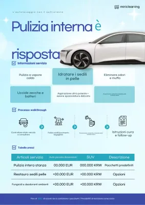 Guida alla pulizia dell'auto Sky Blue Clean