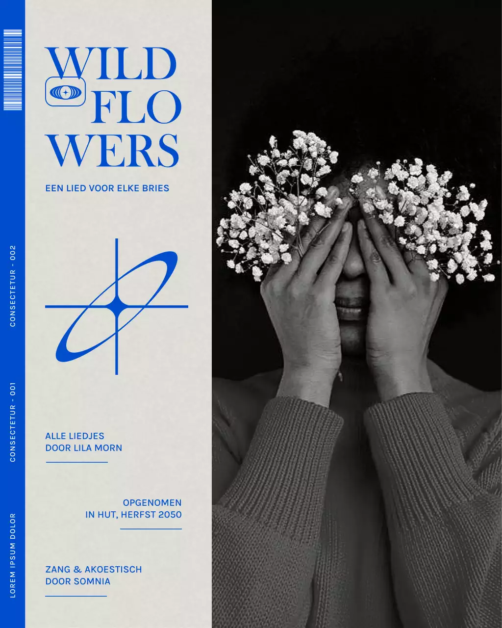 Blauwe moderne albumhoespost