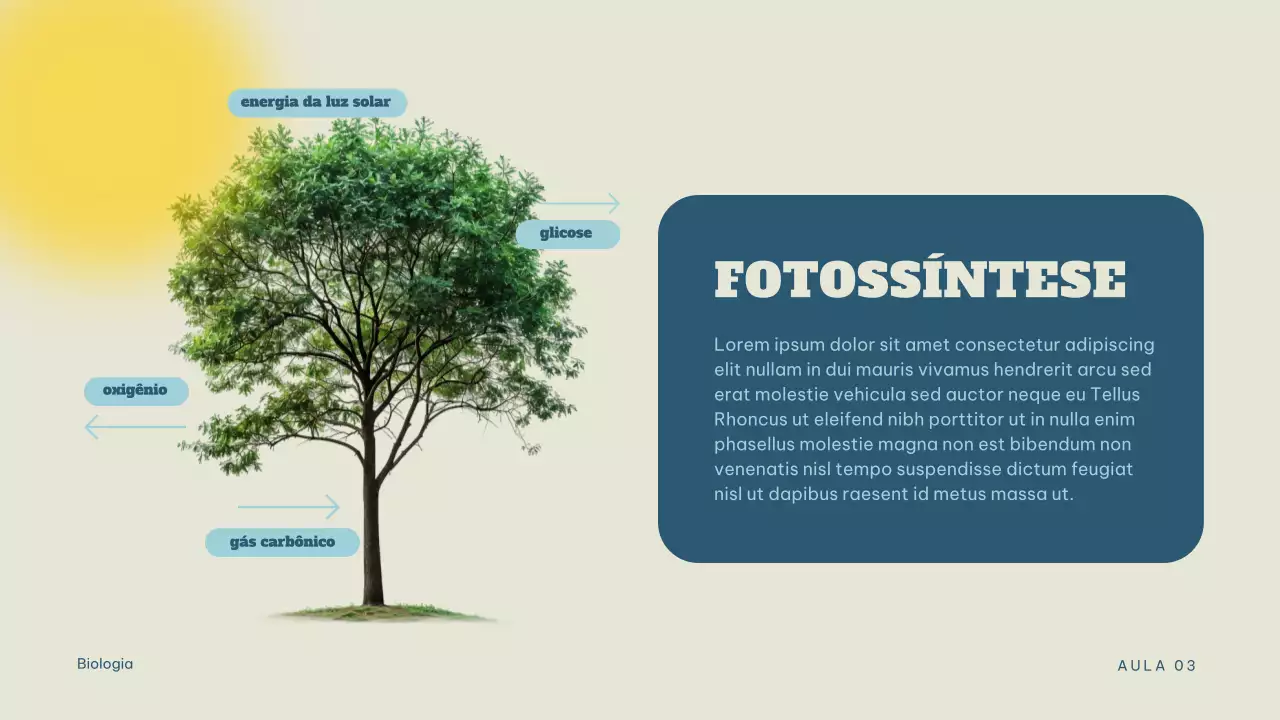 Apresentação da aula de Biologia Moderna Azul