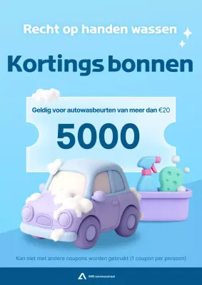 Sky Blue Simple Autowaskorting