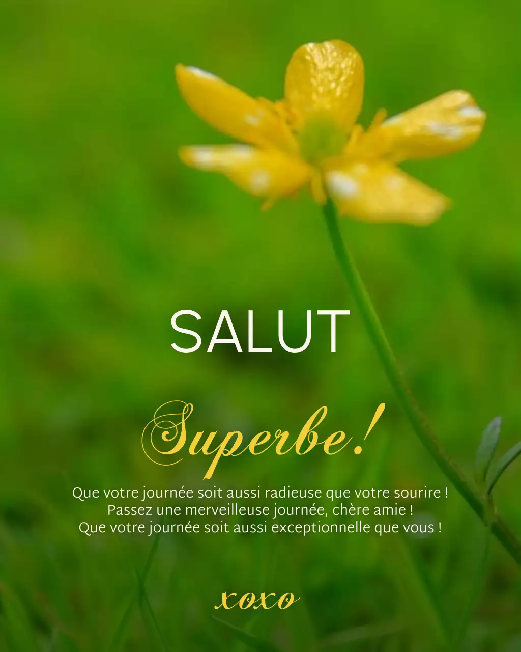 Message de salutations du matin