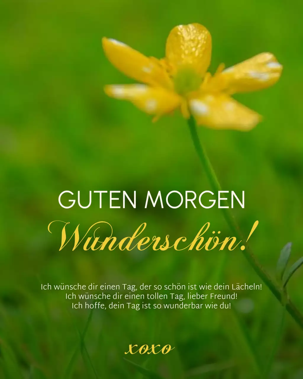 Guten Morgen Grüße Post