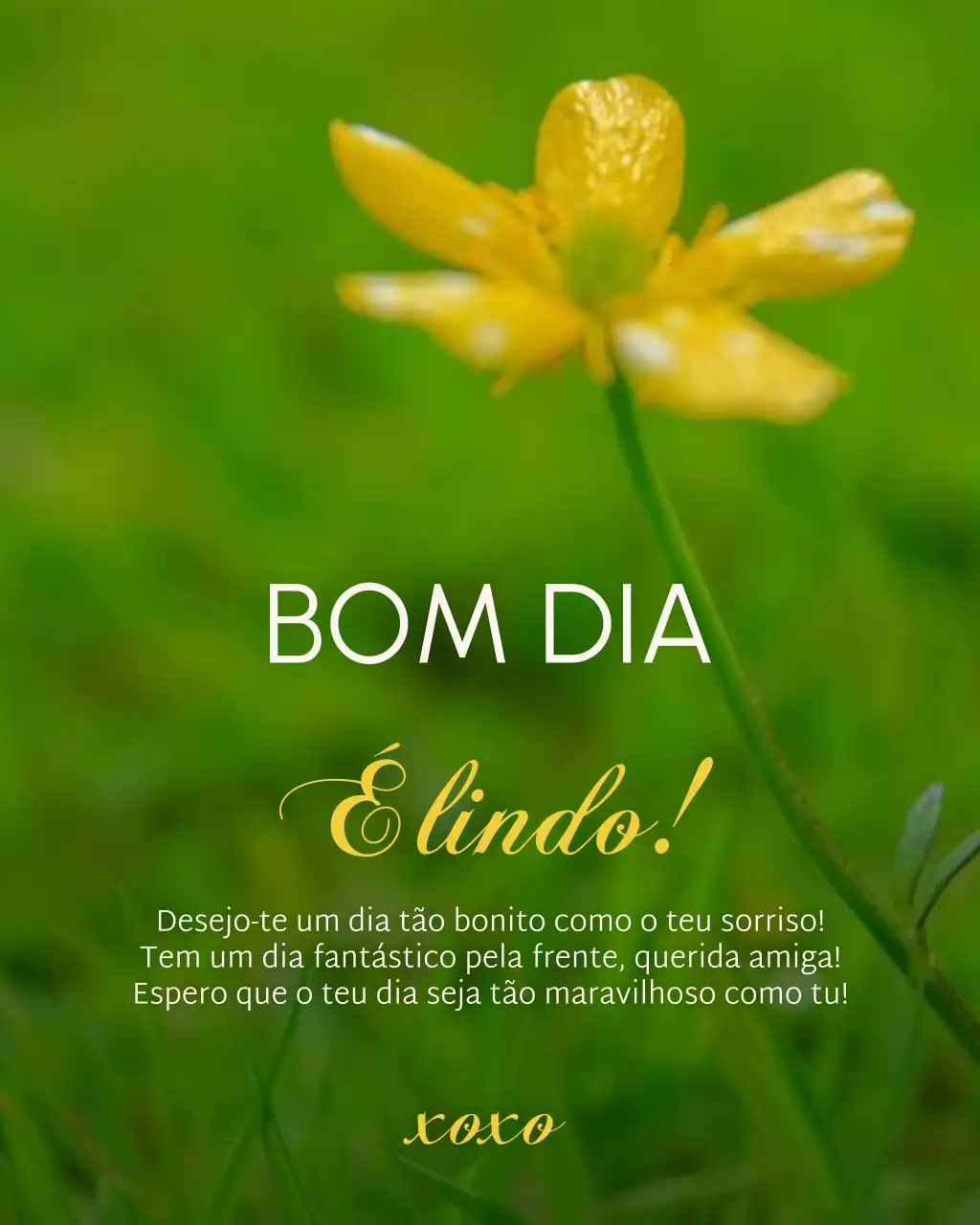 Postagem de Saudações de Bom Dia