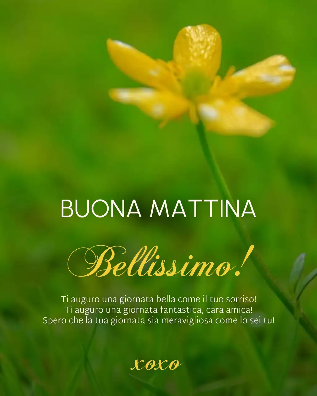 Buongiorno, saluti, post