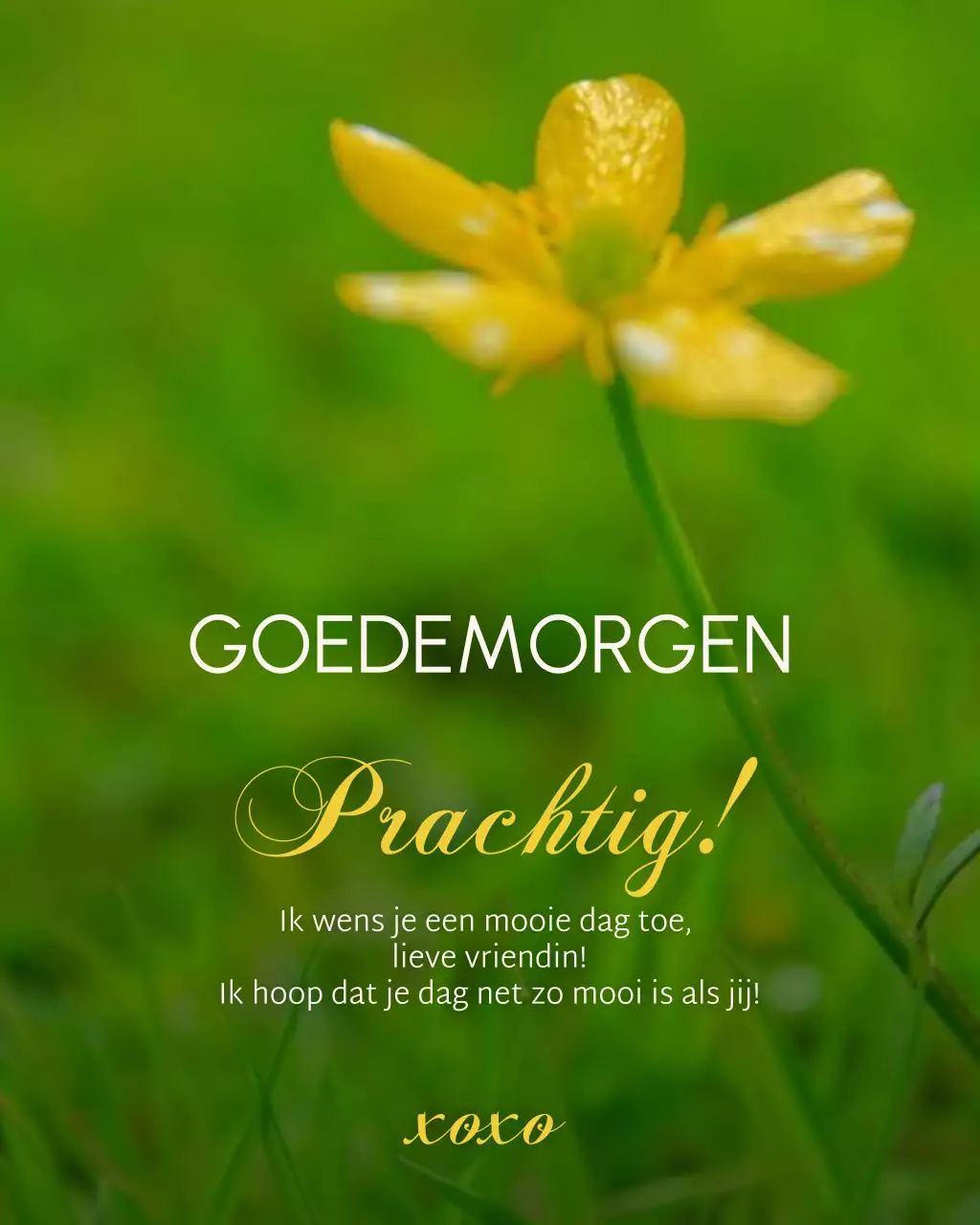 Goedemorgen Groeten Post