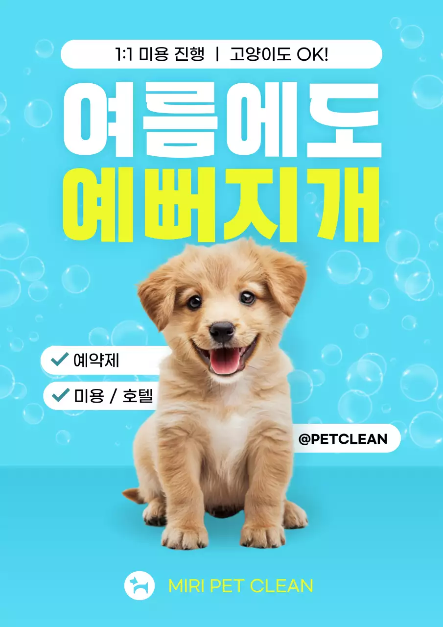 하늘색 심플 반려동물 광고