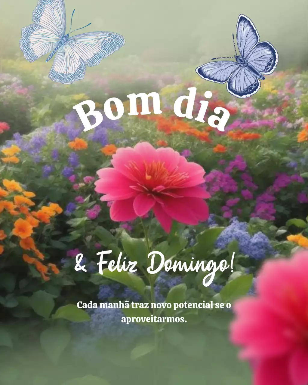 Postagem no Instagram de cartão de felicitações matinais com flores coloridas