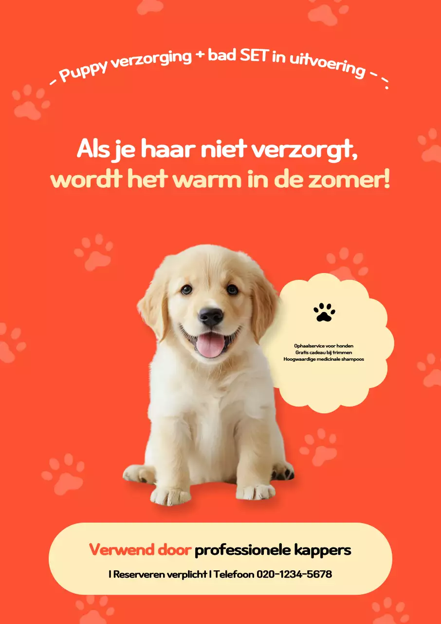Oranje Schone Huisdier Advertentie