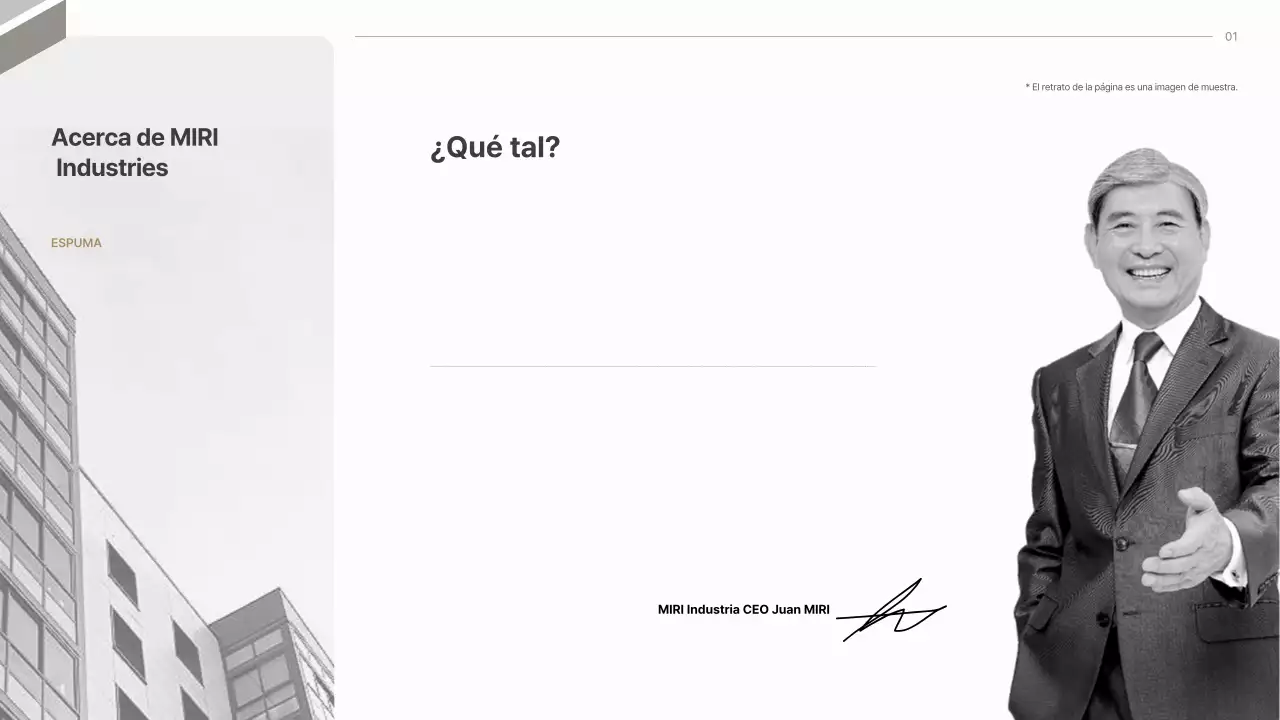 Propuesta para la industria de asientos de automóviles modernos de color gris