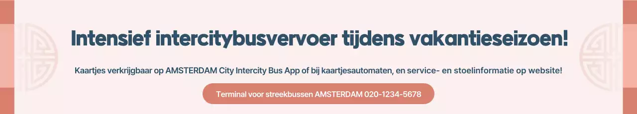 Informatie over de exploitatie van de roze traditionele feestbus