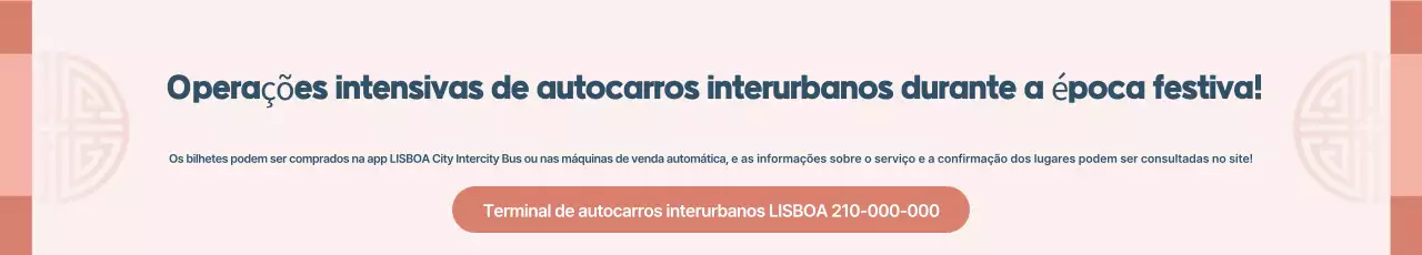 Informações sobre a operação do ônibus tradicional rosa para festas