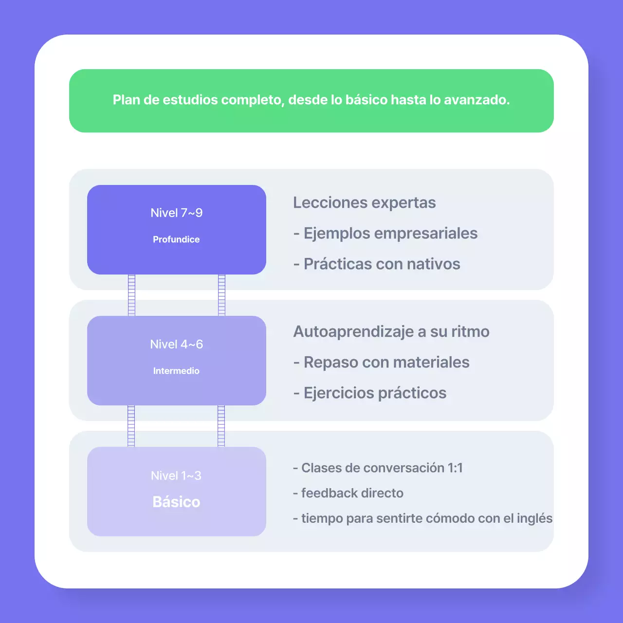 Educación empresarial moderna de Bora