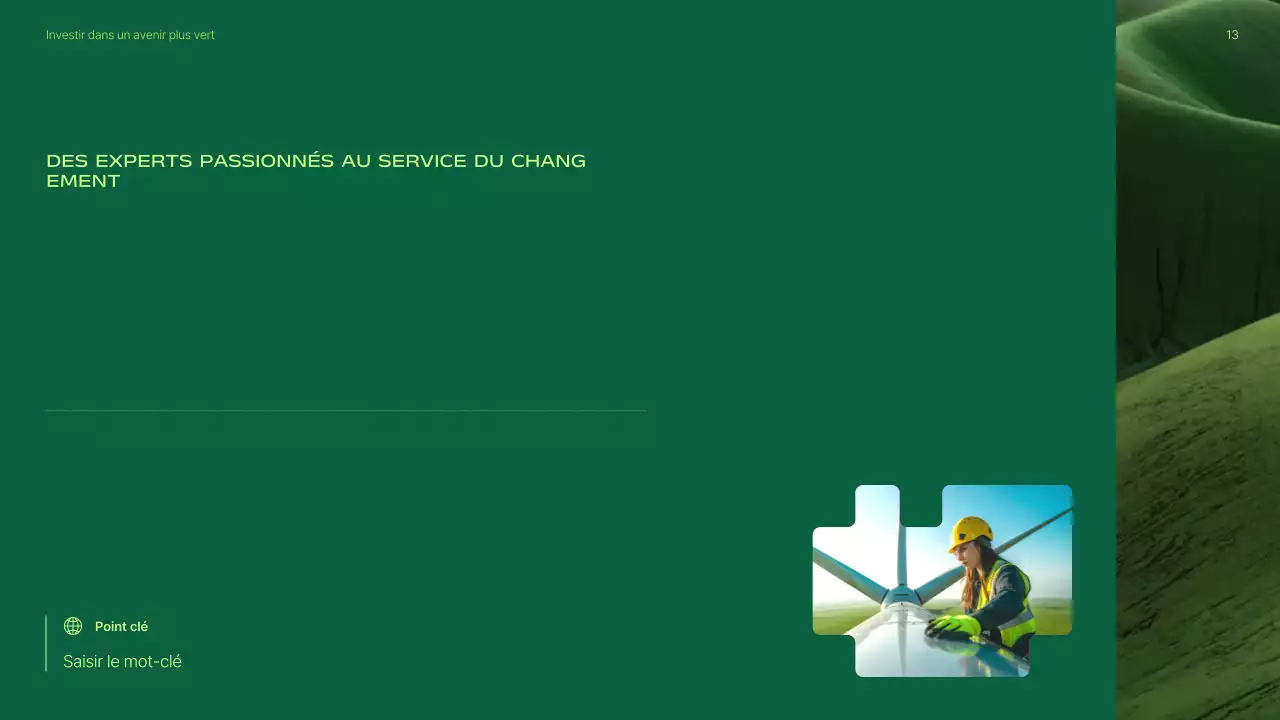 Présentation de la promotion des investissements dans les énergies renouvelables vertes et modernes