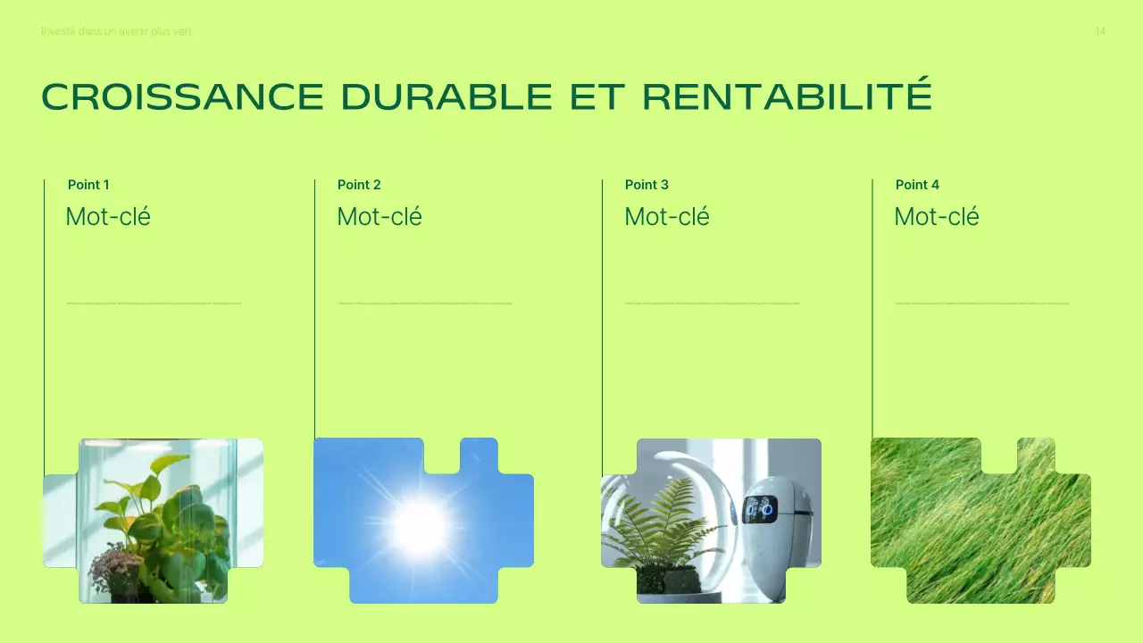 Présentation de la promotion des investissements dans les énergies renouvelables vertes et modernes