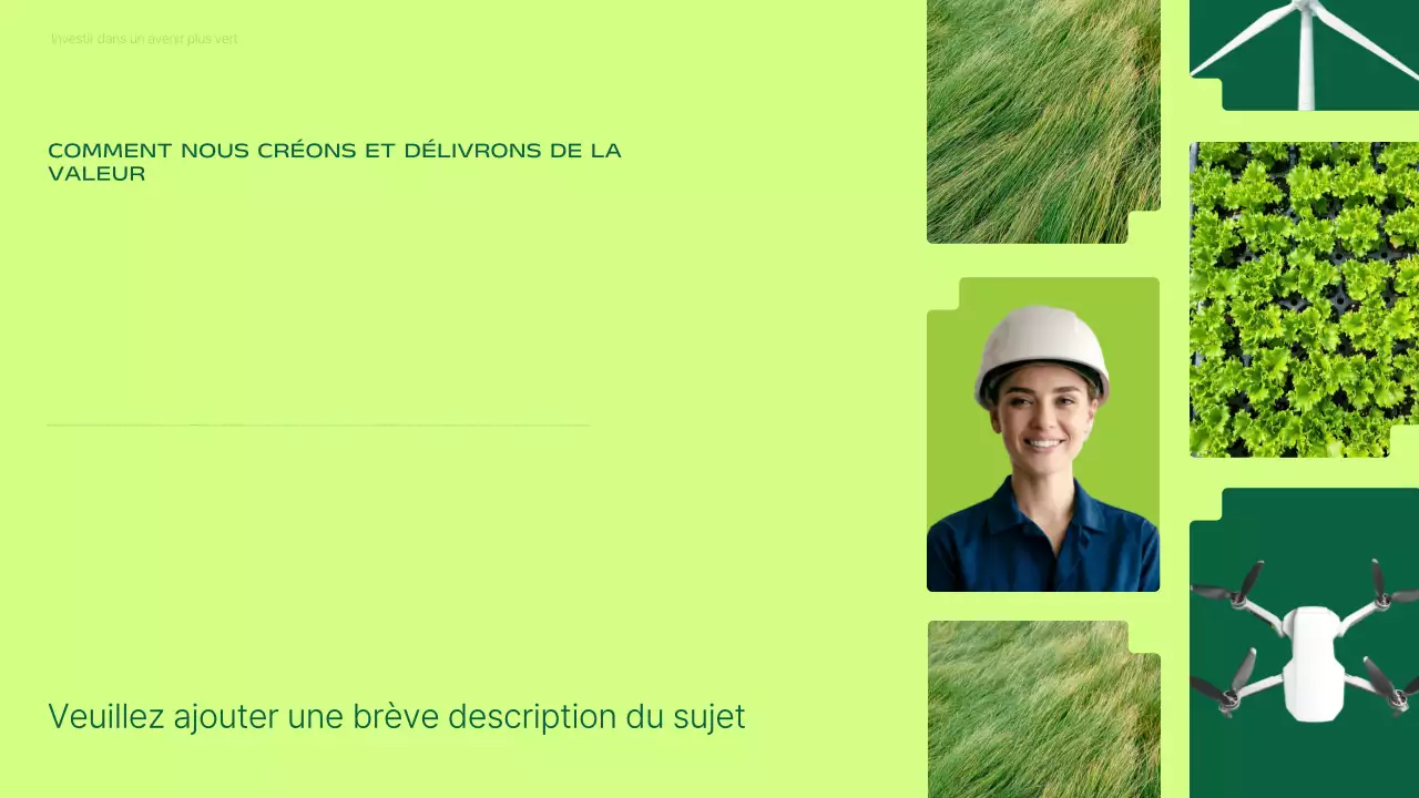 Présentation de la promotion des investissements dans les énergies renouvelables vertes et modernes