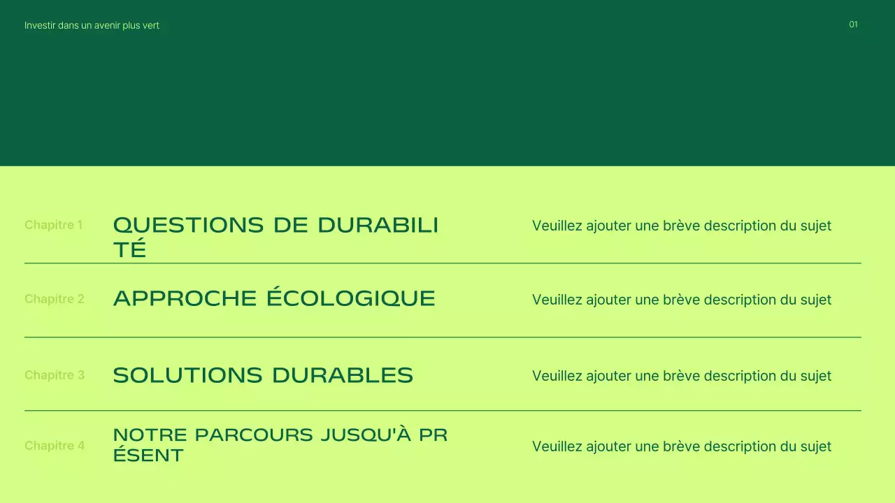 Présentation de la promotion des investissements dans les énergies renouvelables vertes et modernes