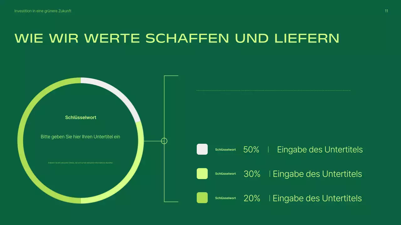 Präsentation zur Förderung von Investitionen in grüne, moderne erneuerbare Energien
