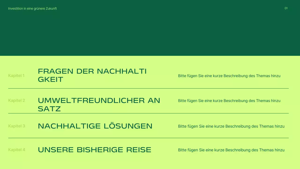 Präsentation zur Förderung von Investitionen in grüne, moderne erneuerbare Energien