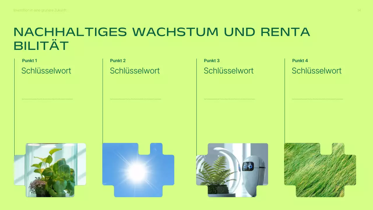 Präsentation zur Förderung von Investitionen in grüne, moderne erneuerbare Energien