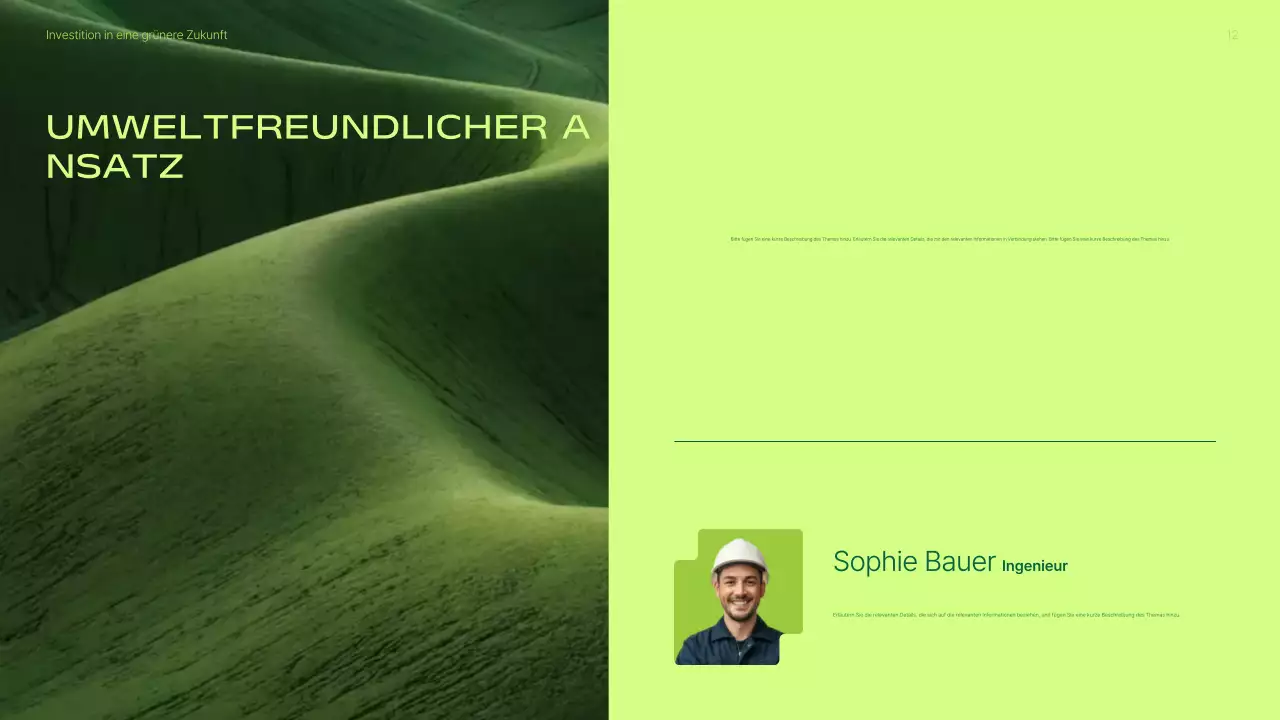 Präsentation zur Förderung von Investitionen in grüne, moderne erneuerbare Energien