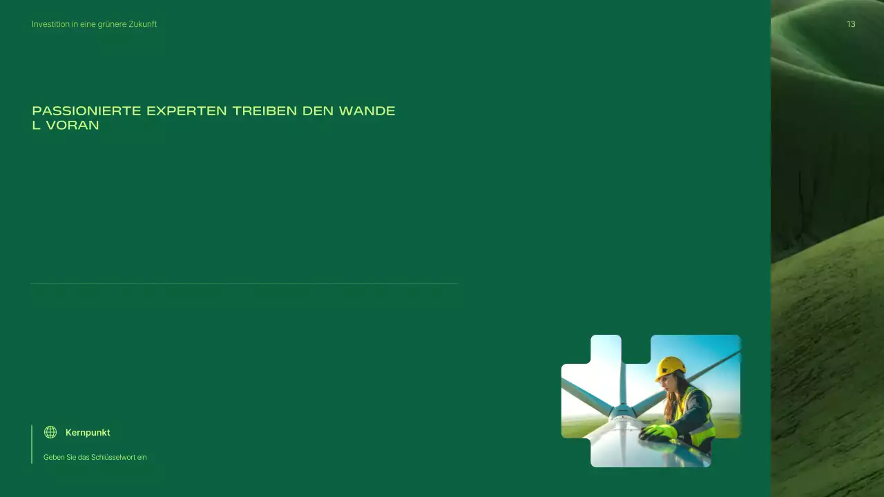 Präsentation zur Förderung von Investitionen in grüne, moderne erneuerbare Energien