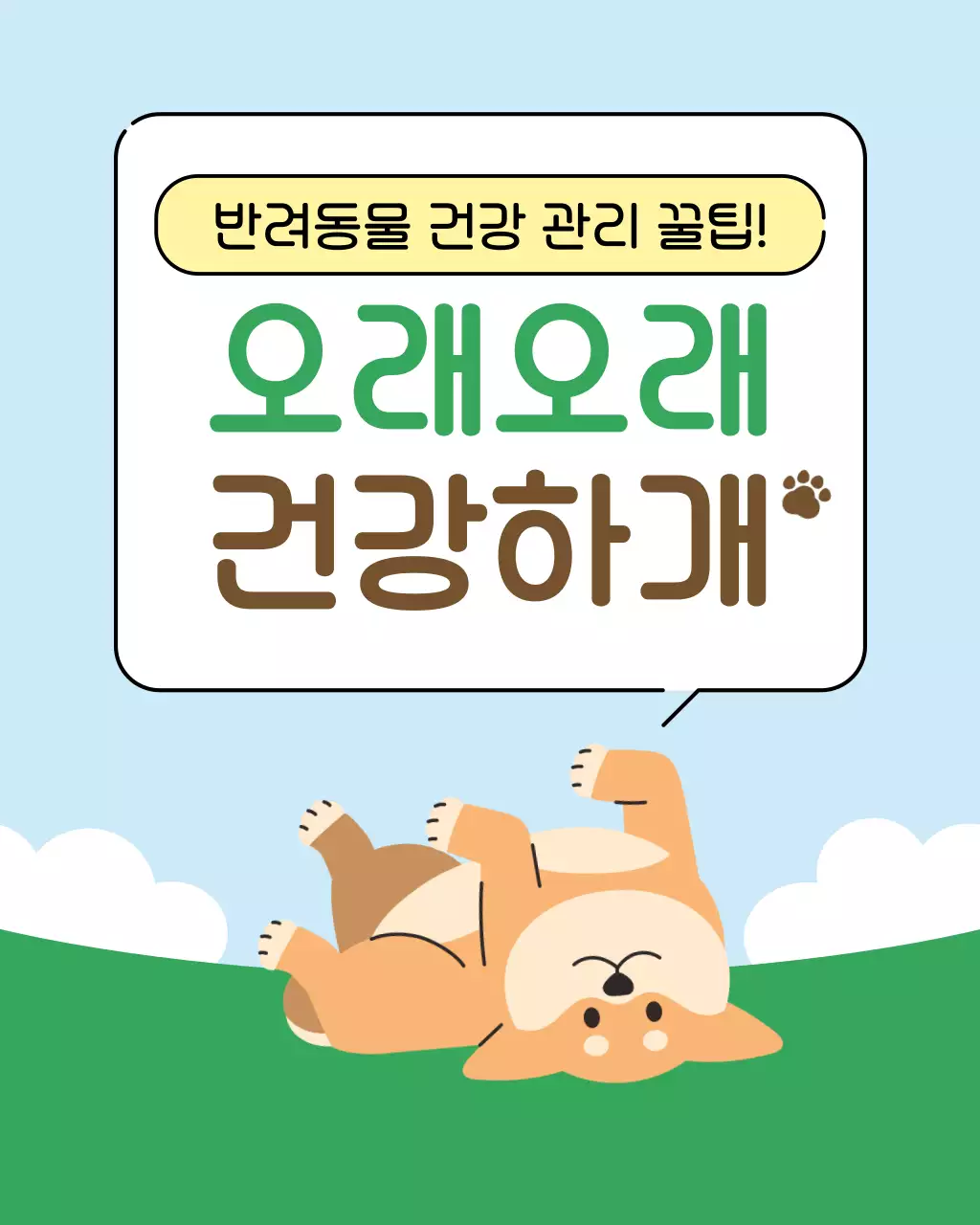 초록색과 하늘색의 아기자기한 반려동물 건강관리꿀팁 교육자료