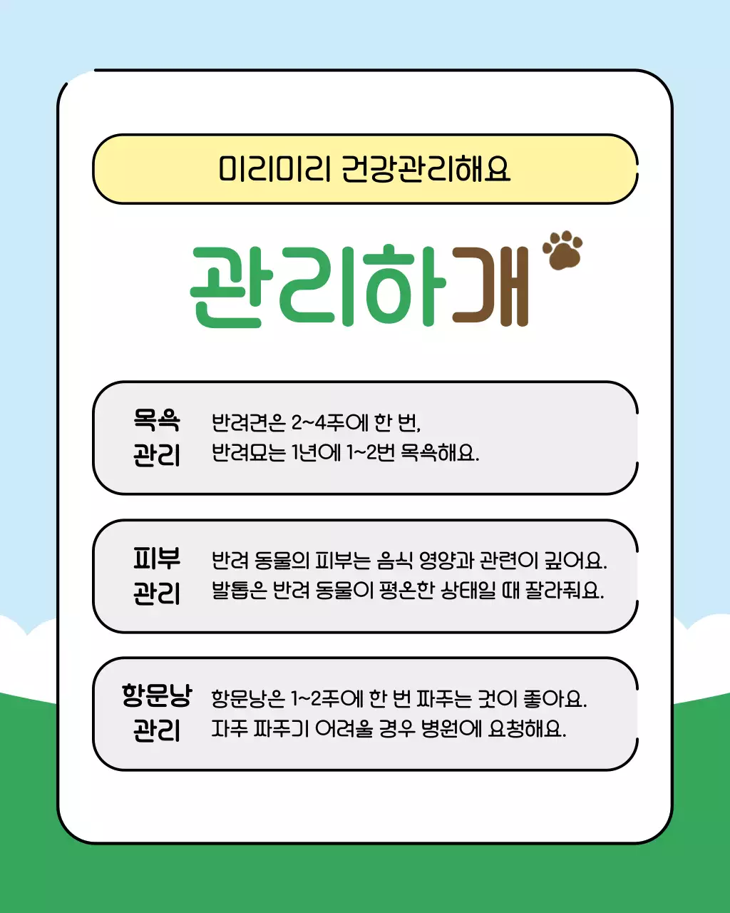 초록색과 하늘색의 아기자기한 반려동물 건강관리꿀팁 교육자료