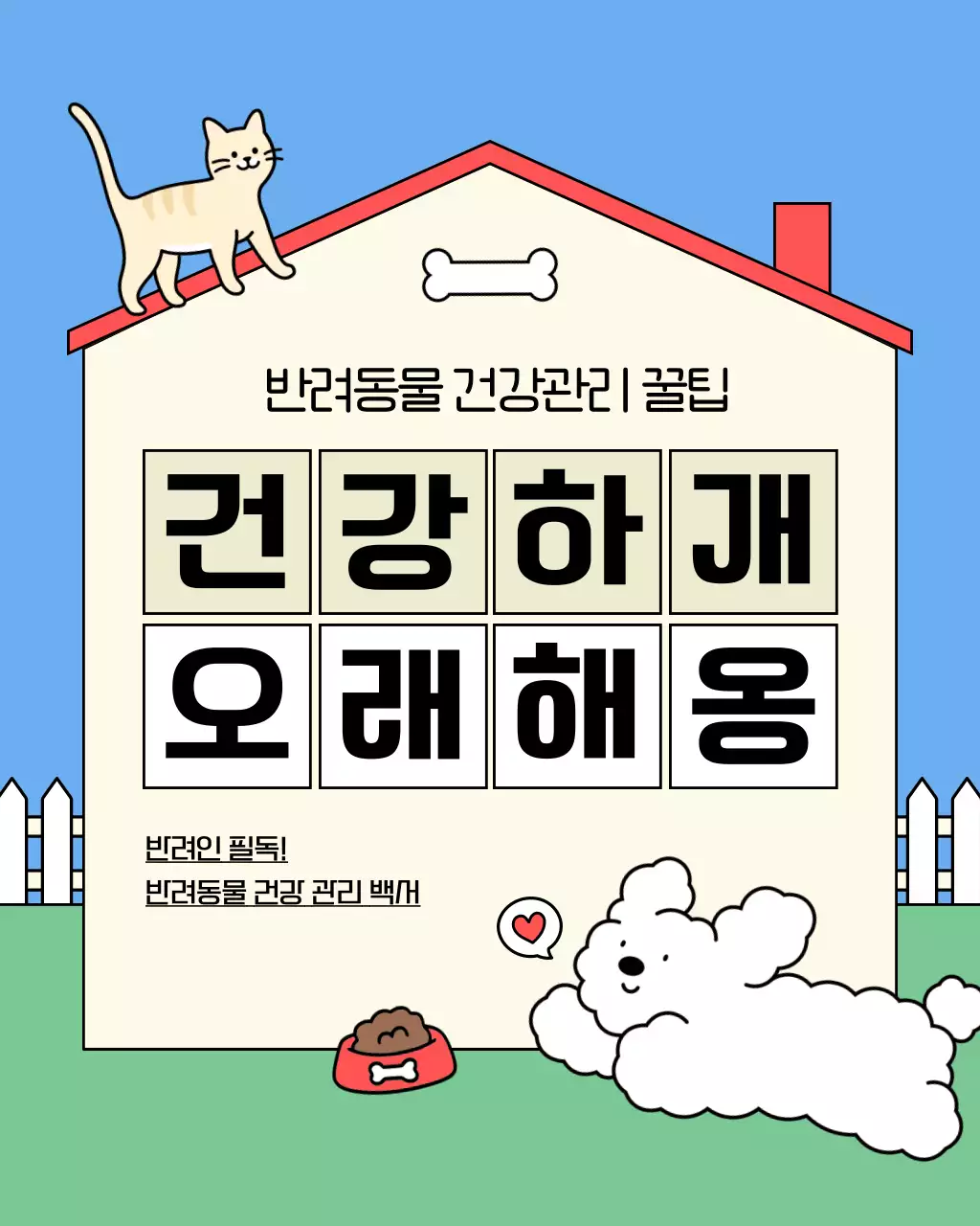 파랑과 초록의 아기자기한 반려동물 건강관리 정보