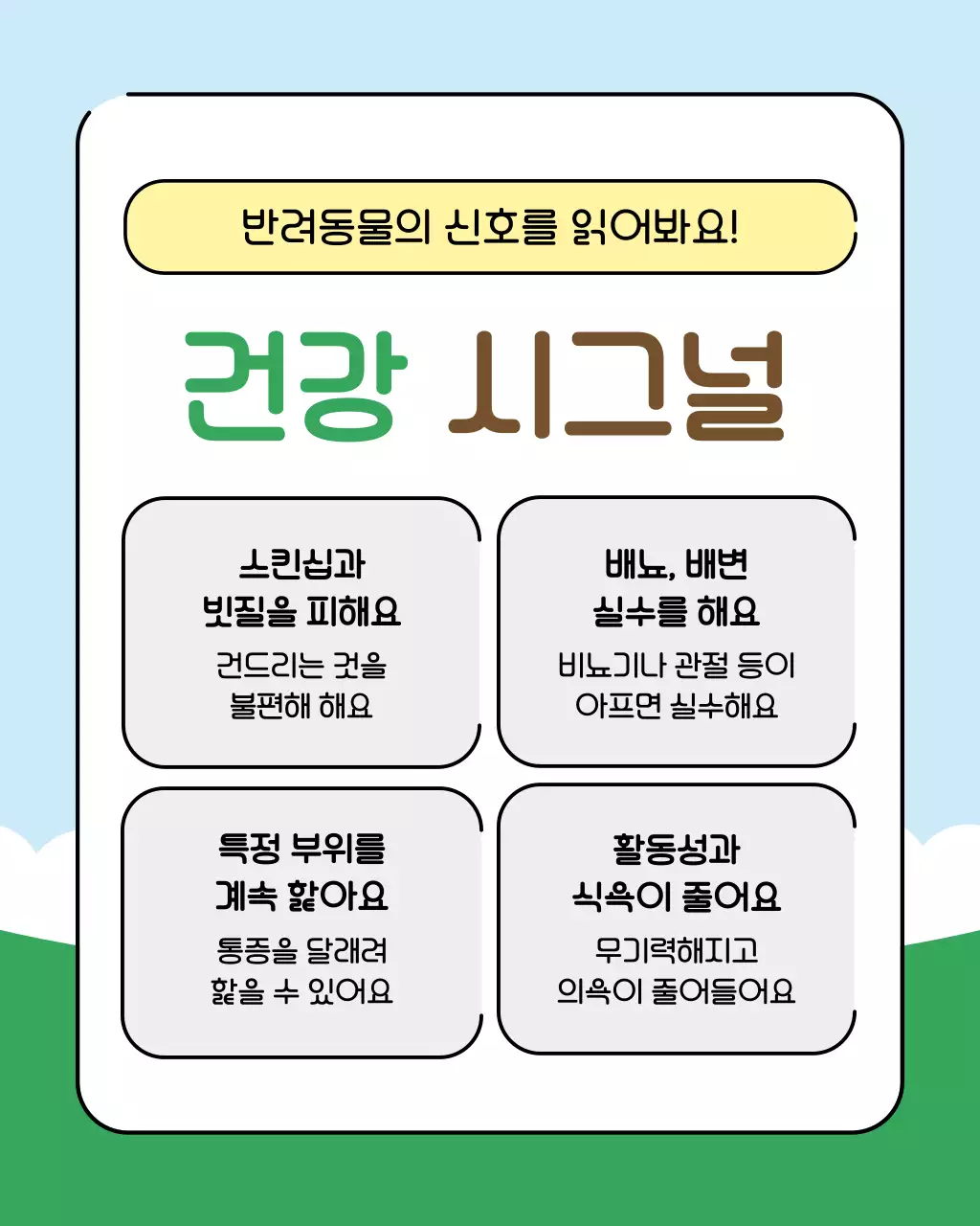 초록색과 하늘색의 아기자기한 반려동물 건강관리꿀팁 교육자료
