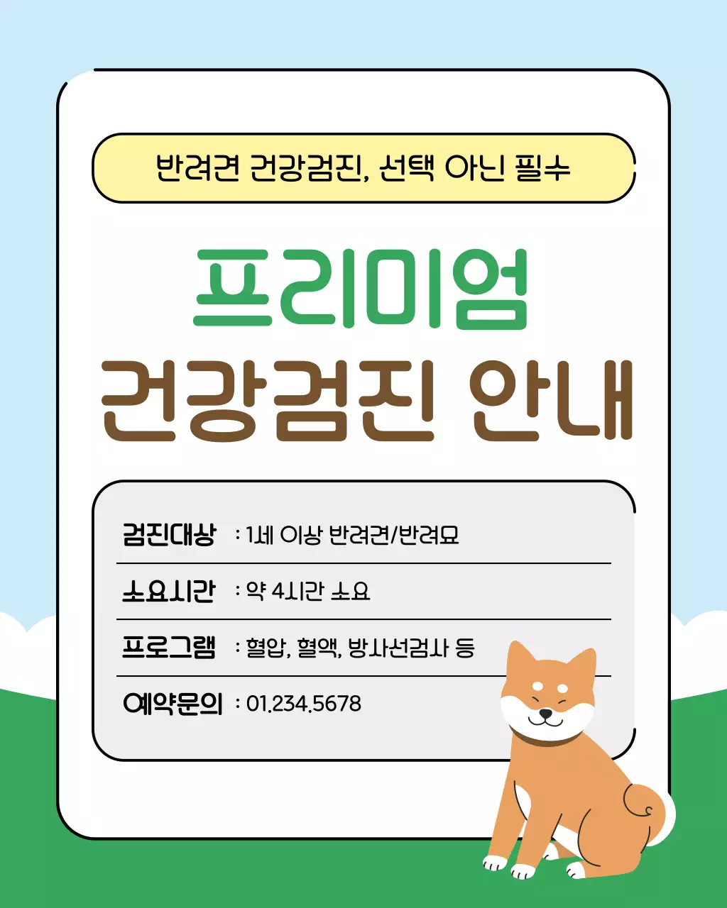 초록색과 하늘색의 아기자기한 반려동물 건강관리꿀팁 교육자료