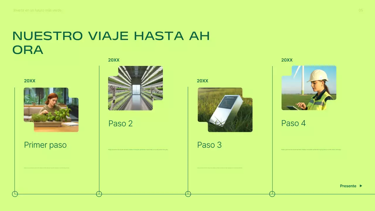 Presentación de la promoción de inversiones en energías renovables modernas y ecológicas