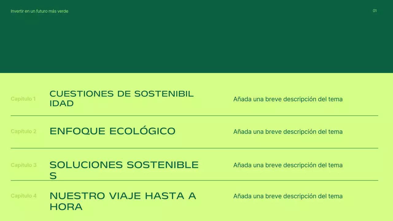 Presentación de la promoción de inversiones en energías renovables modernas y ecológicas