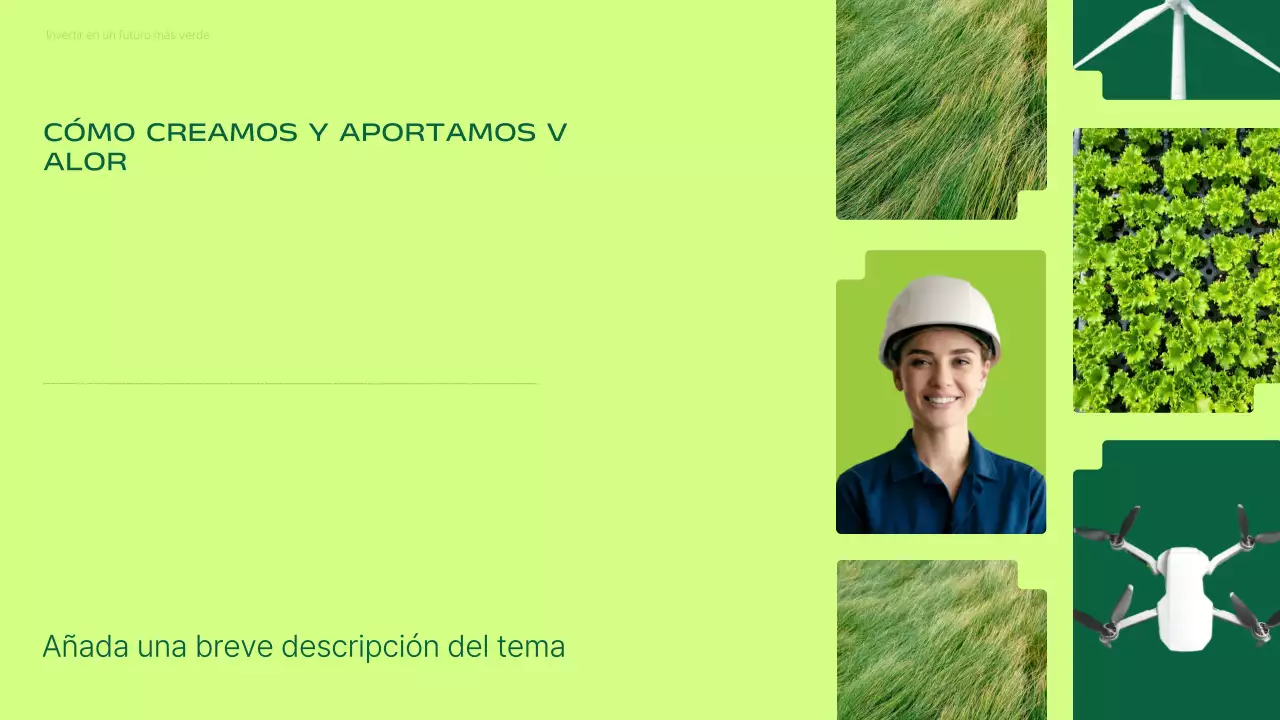 Presentación de la promoción de inversiones en energías renovables modernas y ecológicas