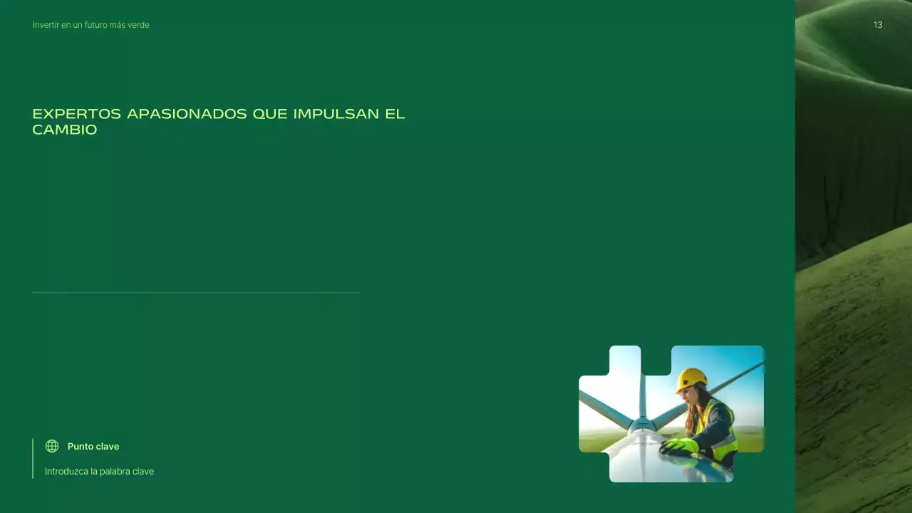 Presentación de la promoción de inversiones en energías renovables modernas y ecológicas