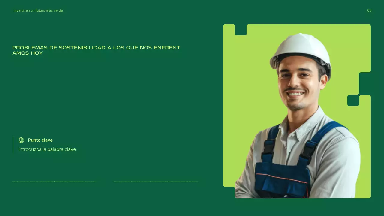 Presentación de la promoción de inversiones en energías renovables modernas y ecológicas