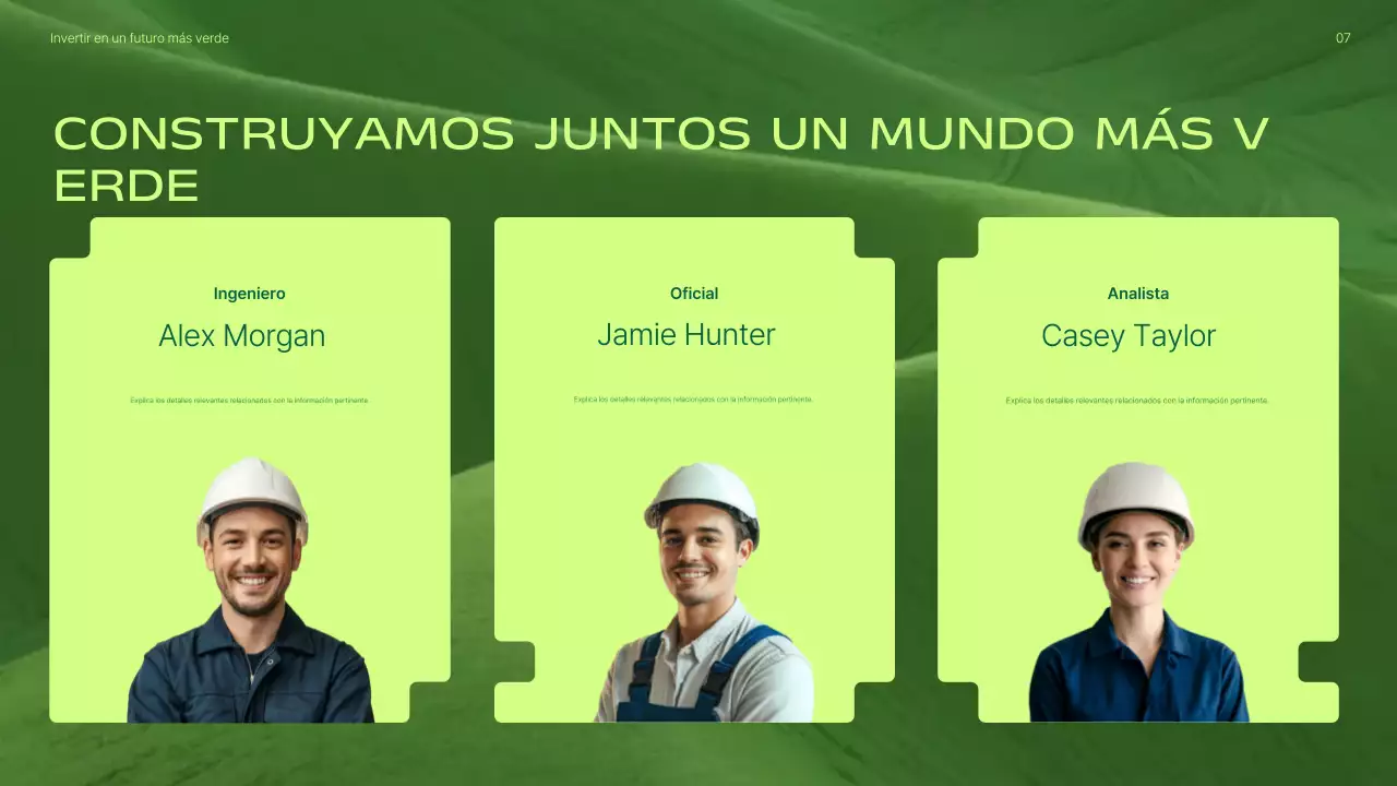 Presentación de la promoción de inversiones en energías renovables modernas y ecológicas