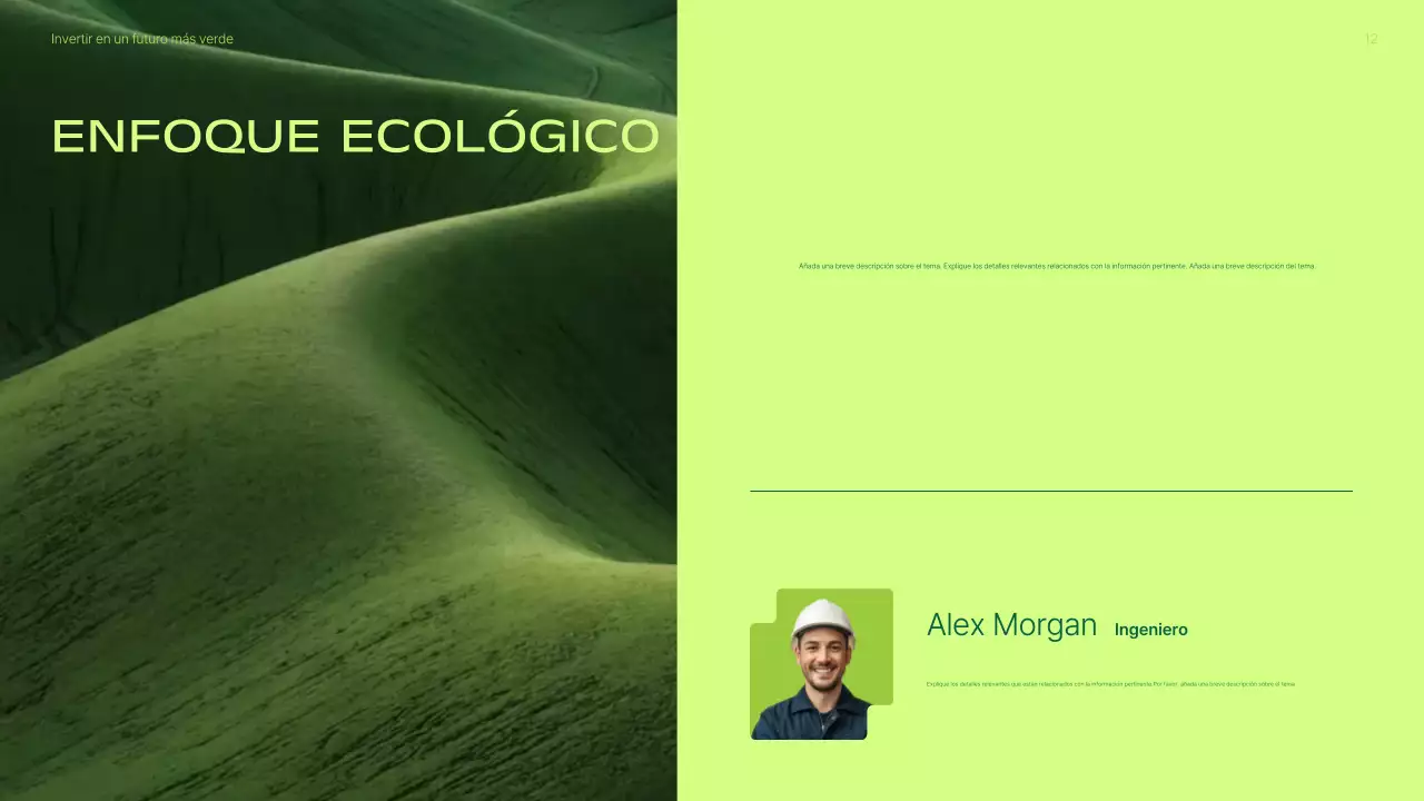 Presentación de la promoción de inversiones en energías renovables modernas y ecológicas