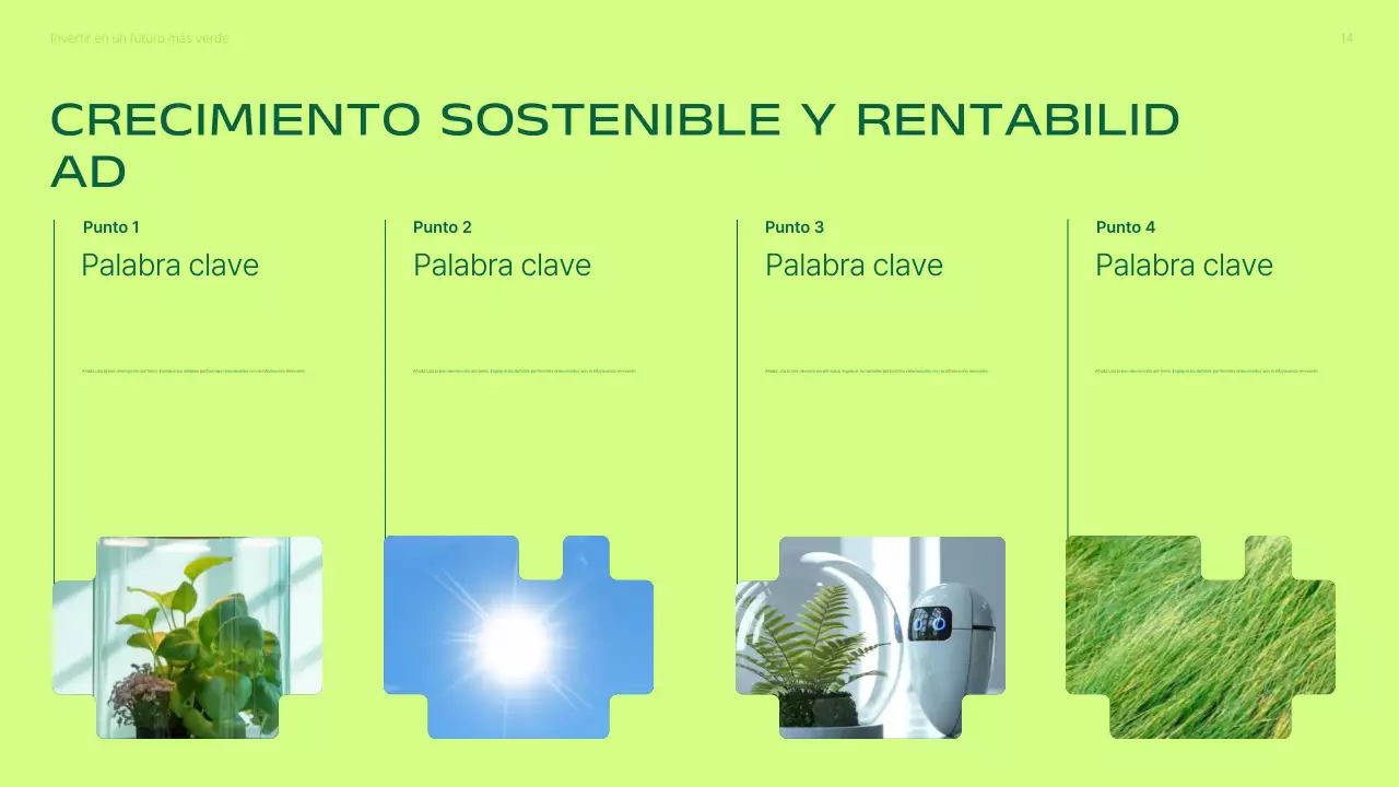 Presentación de la promoción de inversiones en energías renovables modernas y ecológicas
