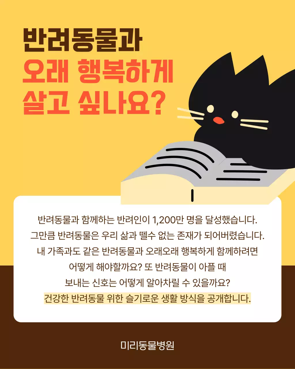 노랑과 주황색의 아기자기한 반려동물 건강 관리 안내서