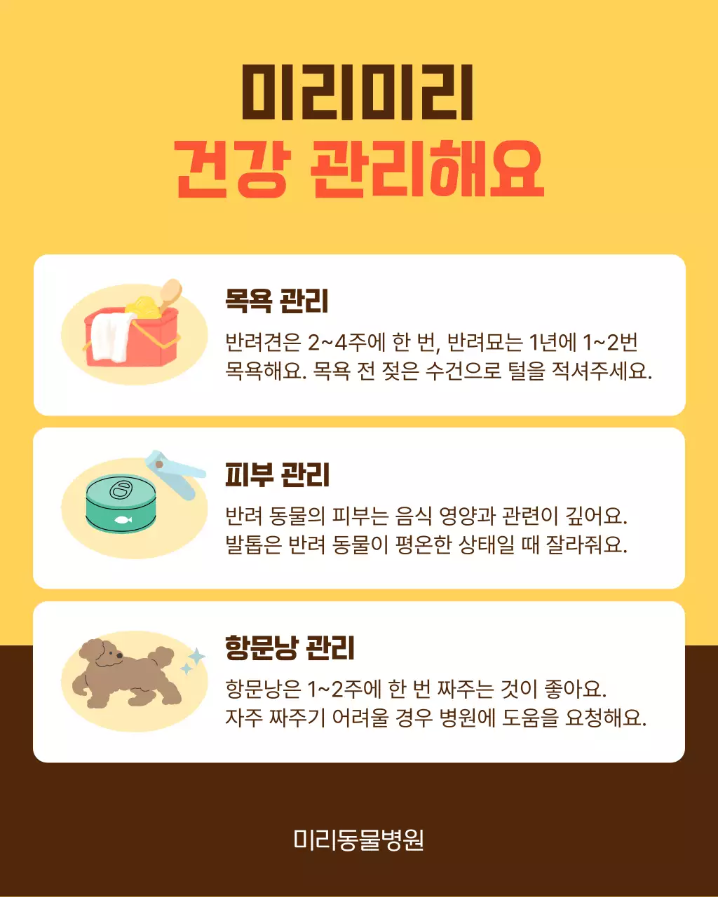 노랑과 주황색의 아기자기한 반려동물 건강 관리 안내서