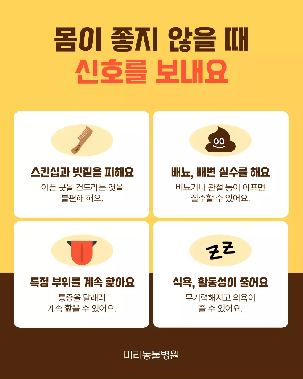 노랑과 주황색의 아기자기한 반려동물 건강 관리 안내서