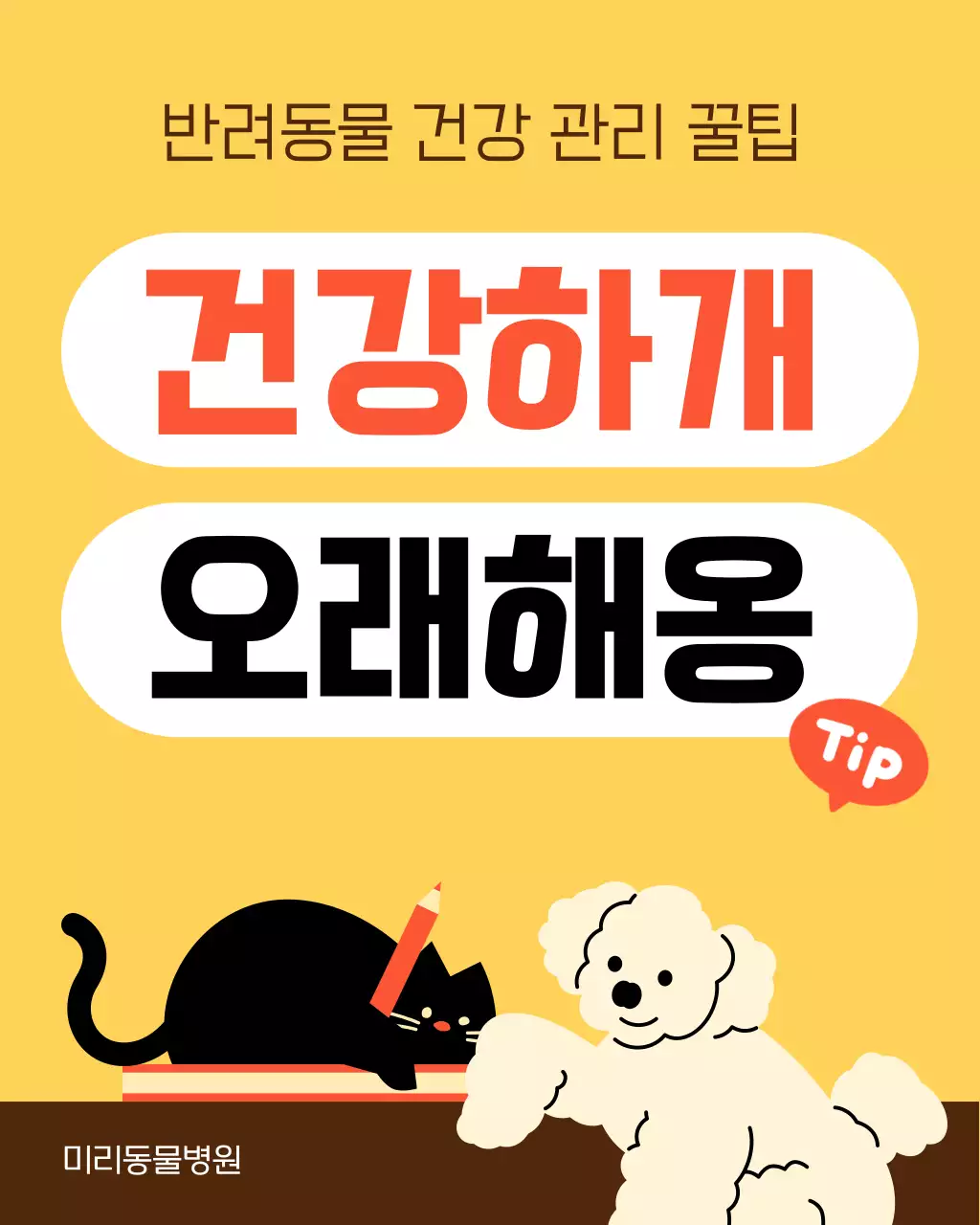 노랑과 주황색의 아기자기한 반려동물 건강 관리 안내서