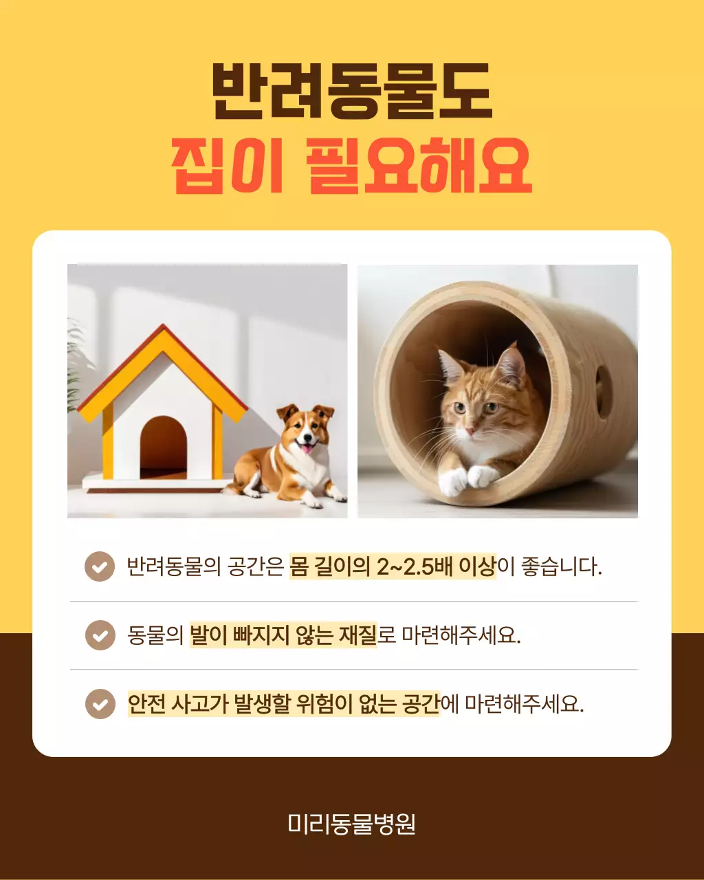 노랑과 주황색의 아기자기한 반려동물 건강 관리 안내서